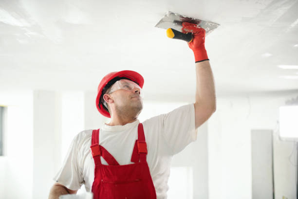 Best Biohazard Mold Removal  in Starkville, MS