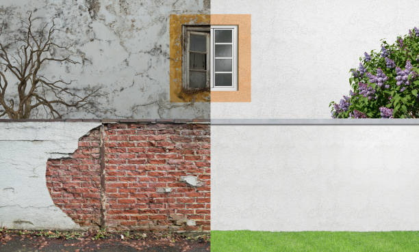  Starkville, MS Mold Removal Pros